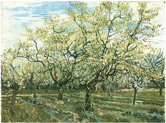 Orchard with Flowering Plum Trees